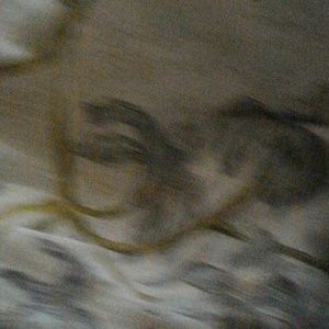 Meet your Posher, Robyn