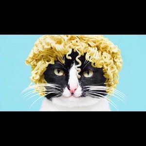 Meet your Posher, Carly