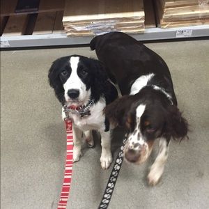 Meet your Posher, Kem