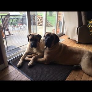 Meet your Posher, Abbie