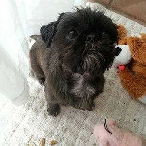 Meet your Posher, Suzie