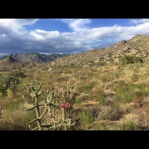 Meet your Posher, Gena