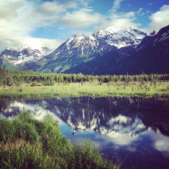 Meet your Posher, Clare