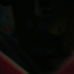 Meet your Posher, Bob