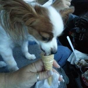 Meet your Posher, Karen