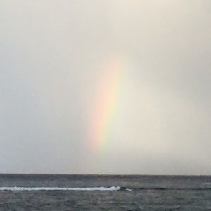 Meet your Posher, Mardi