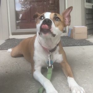 Meet your Posher, Jordan