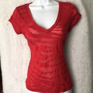 Sale‼️zebra stripe tee shirt sheer v neck knit top