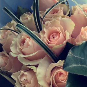 Meet your Posher, Yamileth