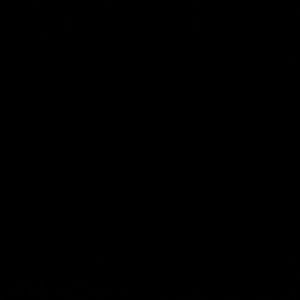 Meet your Posher, Alana