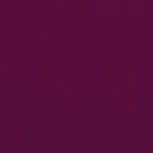 Meet your Posher, Tayler