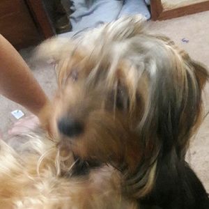 Meet your Posher, Faith