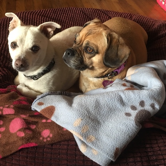 Hey 😎 - Picture 4 of 4