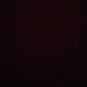 Meet your Posher, Isabella