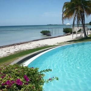 Meet your Posher, Caridad