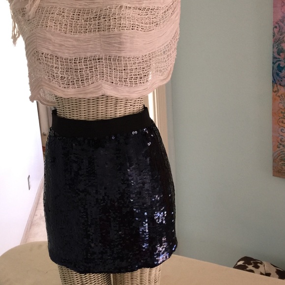 Mint Dresses & Skirts - Sequin Skirt/Sequin top