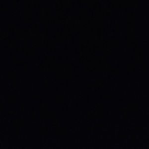 Meet your Posher, Ginna