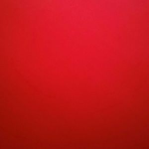 Meet your Posher, Arlene