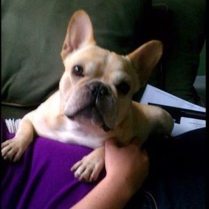 Meet your Posher, Christi