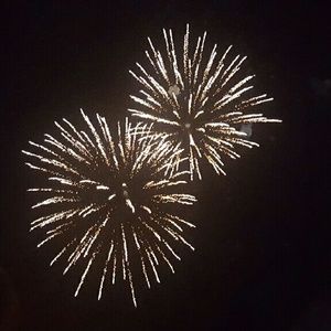 Meet your Posher, Tauna