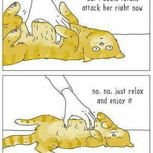 Meet your Posher, Sultana