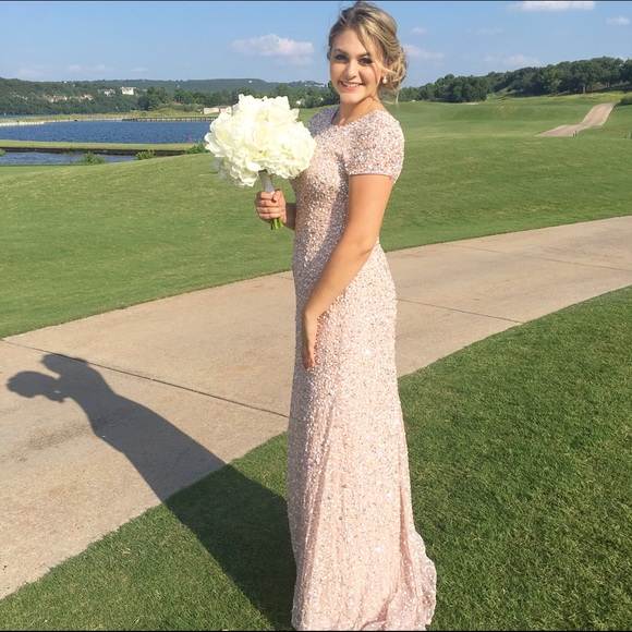 Adrianna Papell Blush Beaded Sequin Gown
