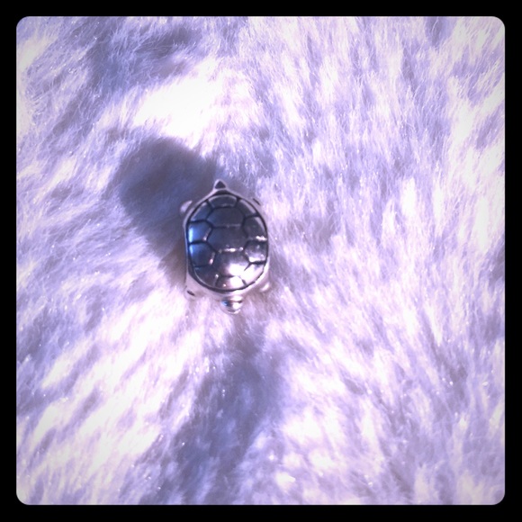 Sterling silver charm