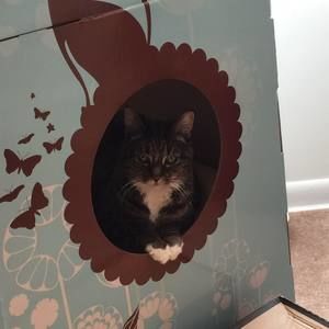 Meet your Posher, Amy