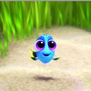 Meet your Posher, Jayla