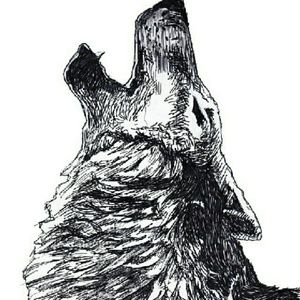 Meet your Posher, Rose