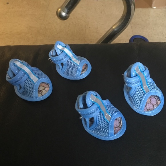 Doggy's shoes light blue for small size dogs