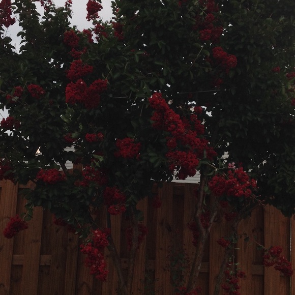 Meet your Posher, Ann - Picture 1 of 1