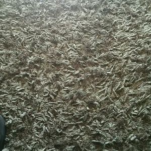 Meet your Posher, Steve