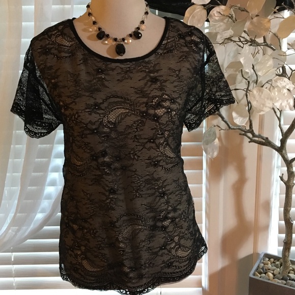 LOFT Tops - LOFT TOP