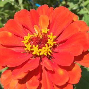 Meet your Posher, Fia