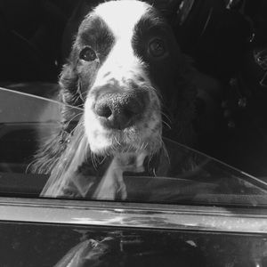 Meet your Posher, Sue