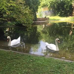 Meet your Posher, Alice