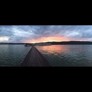 Meet your Posher, Molly