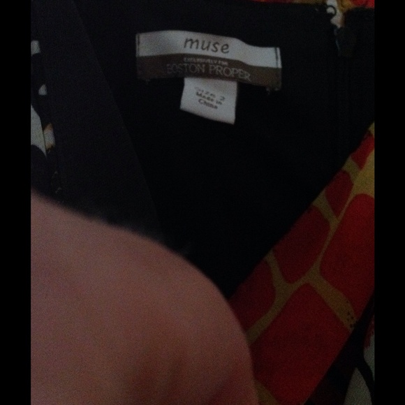 Boston Proper Muse - Picture 4 of 4