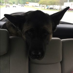 Meet your Posher, Derek