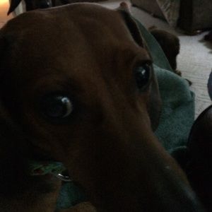 Meet your Posher, Lori