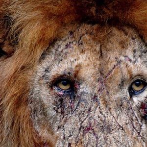 Meet your Posher, Darryl