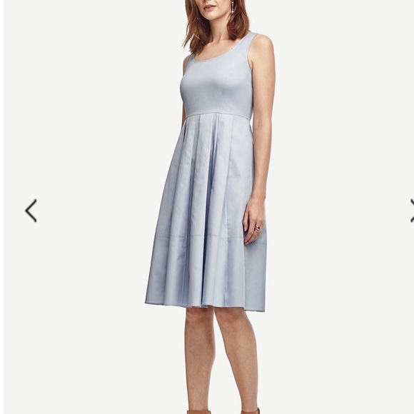 Ann Taylor Pleated Skirt Dress (NWT)
