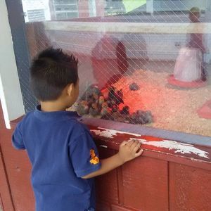 Meet your Posher, Jeneasa