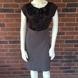 The Limited Blouse Dress