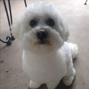 Meet your Posher, Tracey