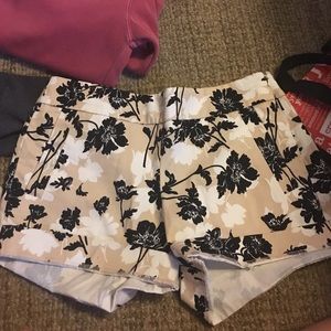 jcrew shorts