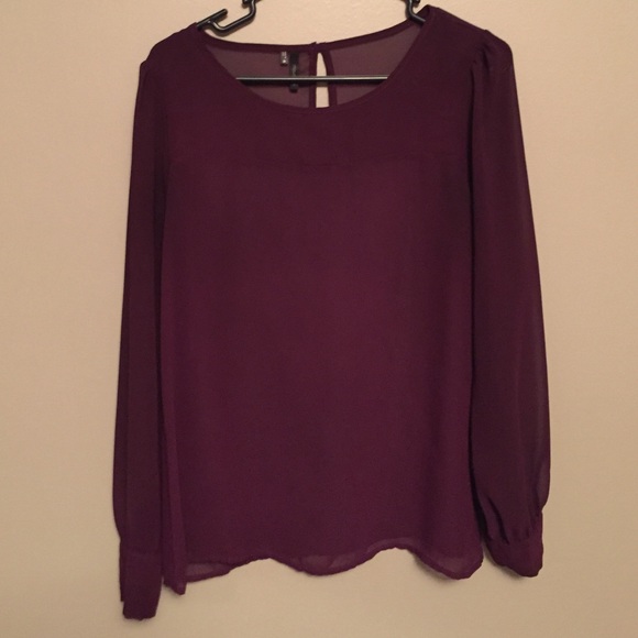 Beautiful Sheer Blouse