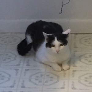 Meet your Posher, Ruth