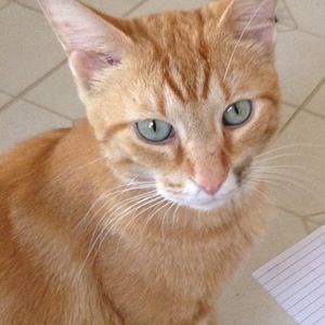 Meet your Posher, Aria